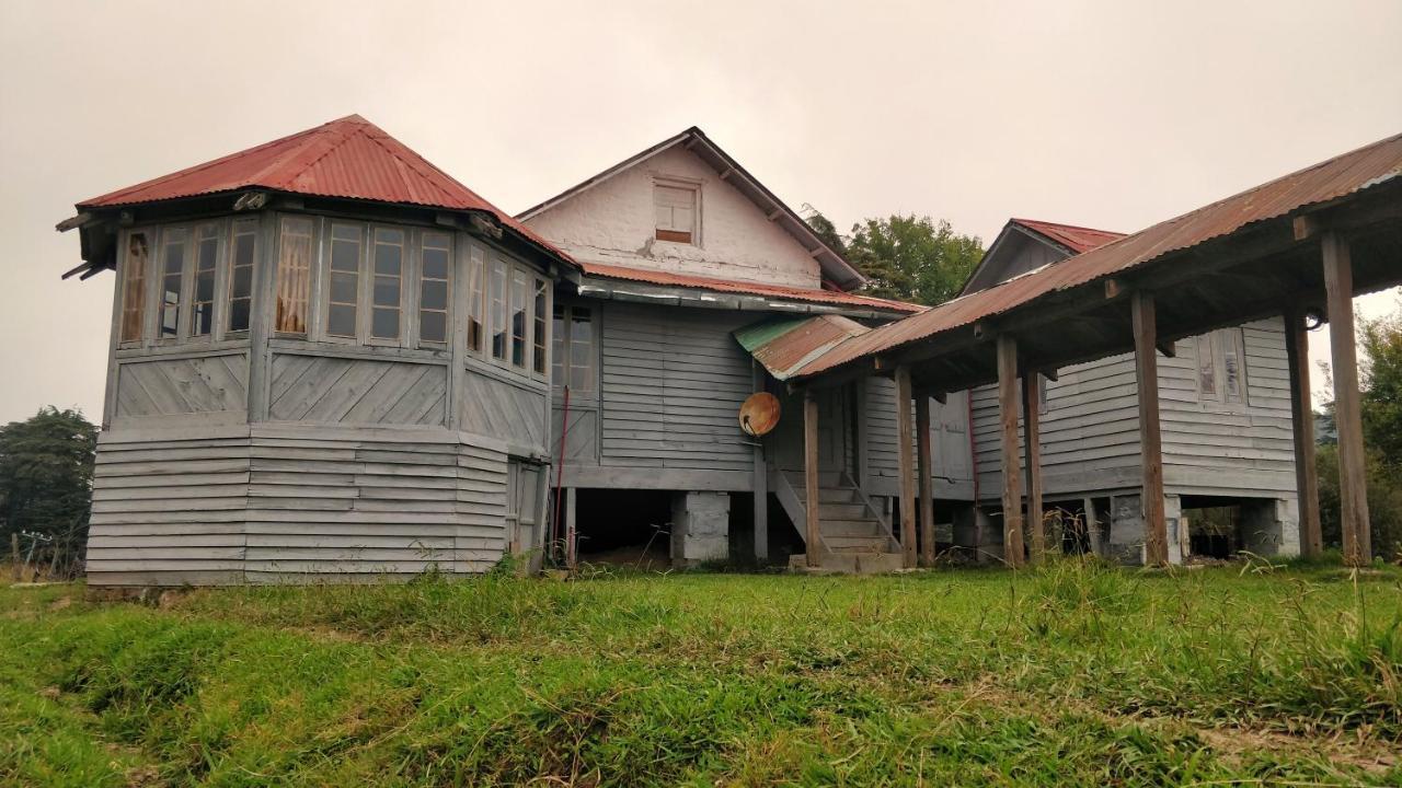 Black Bear Cottage Khajjiar מראה חיצוני תמונה
