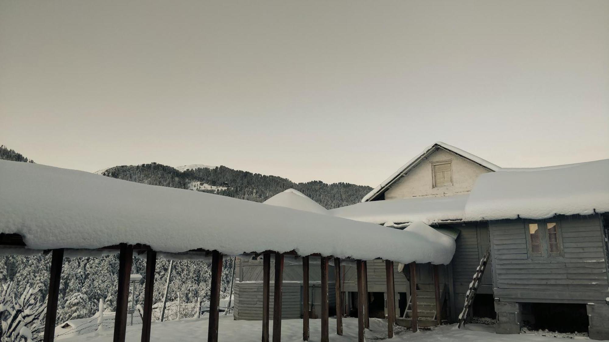 Black Bear Cottage Khajjiar מראה חיצוני תמונה