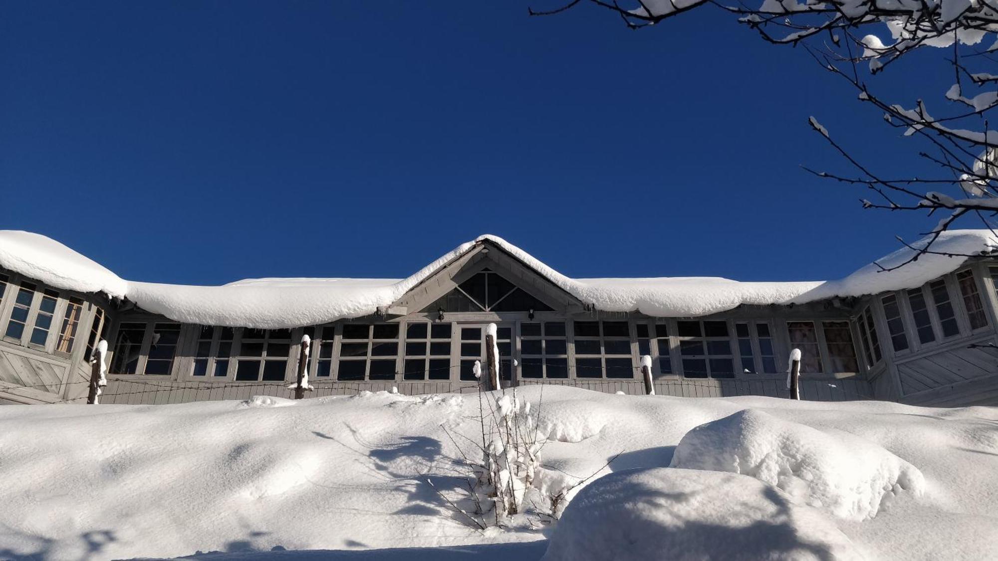Black Bear Cottage Khajjiar מראה חיצוני תמונה
