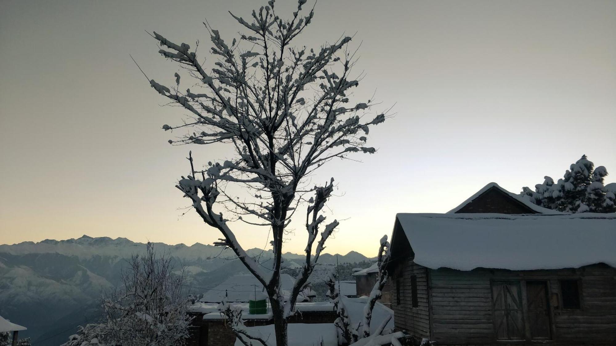 Black Bear Cottage Khajjiar מראה חיצוני תמונה