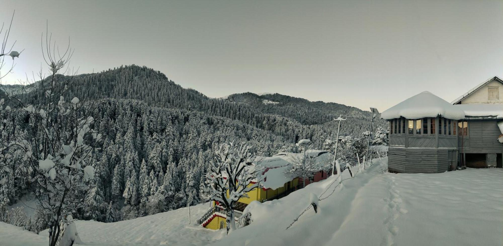 Black Bear Cottage Khajjiar מראה חיצוני תמונה